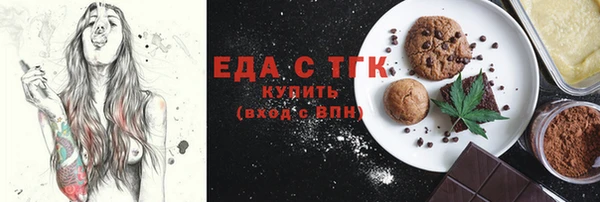 крисы Бородино