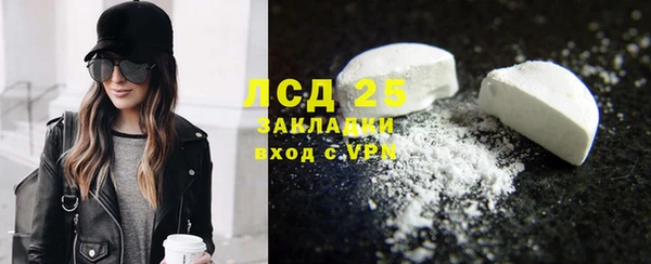 крисы Бородино
