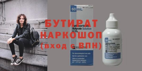 крисы Бородино