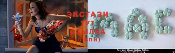 крисы Бородино