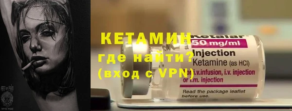 крисы Бородино