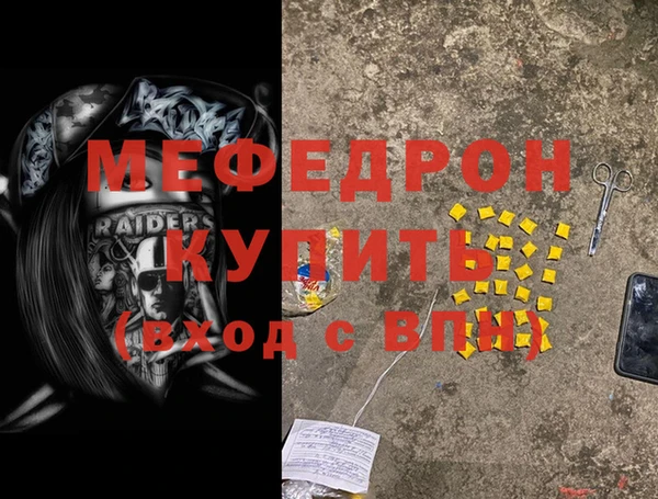 крисы Бородино