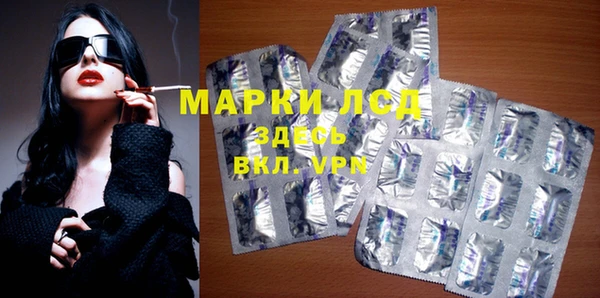 крисы Бородино