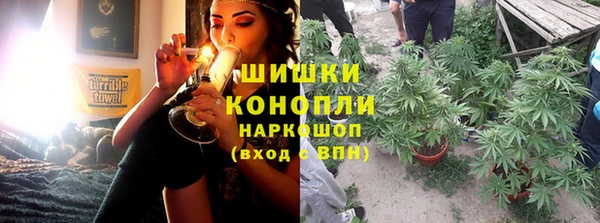 крисы Бородино