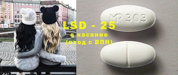 крисы Бородино