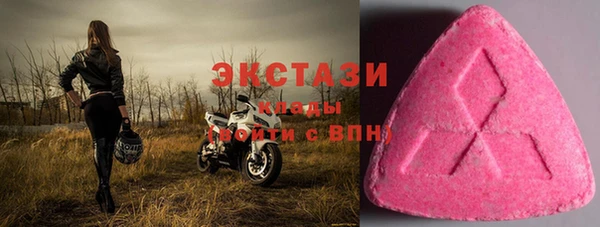 крисы Бородино